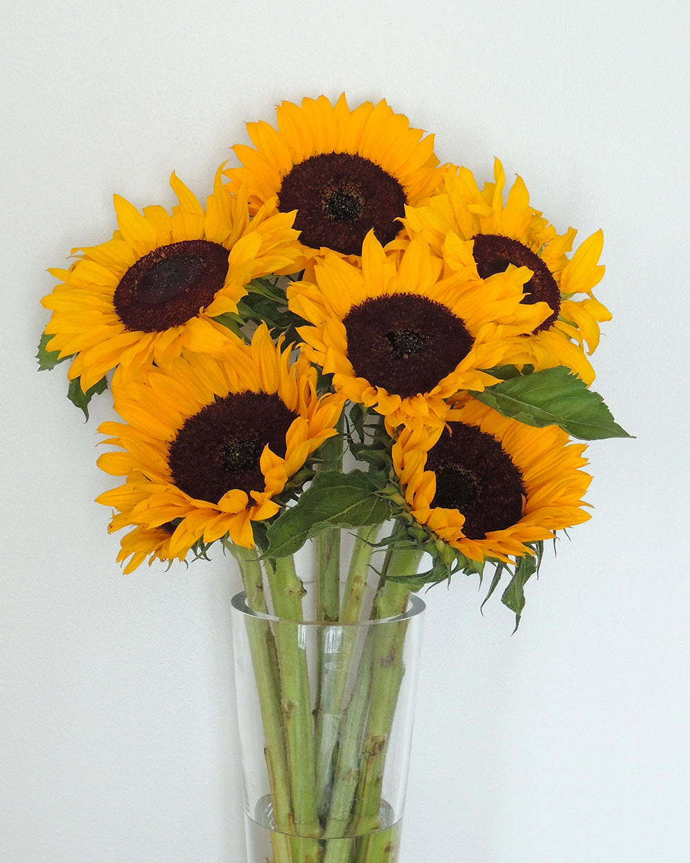 Ramo girasoles