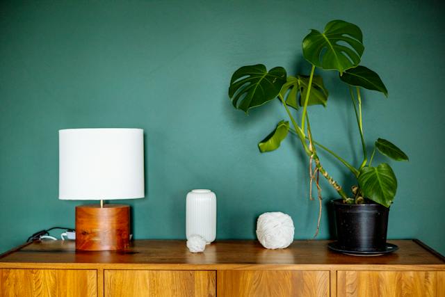 ¿Es buena idea tener una monstera deliciosa en tu habitación?