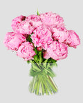 Peonia