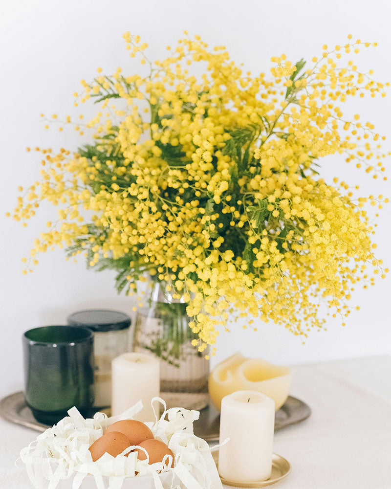 Ramo mimosa