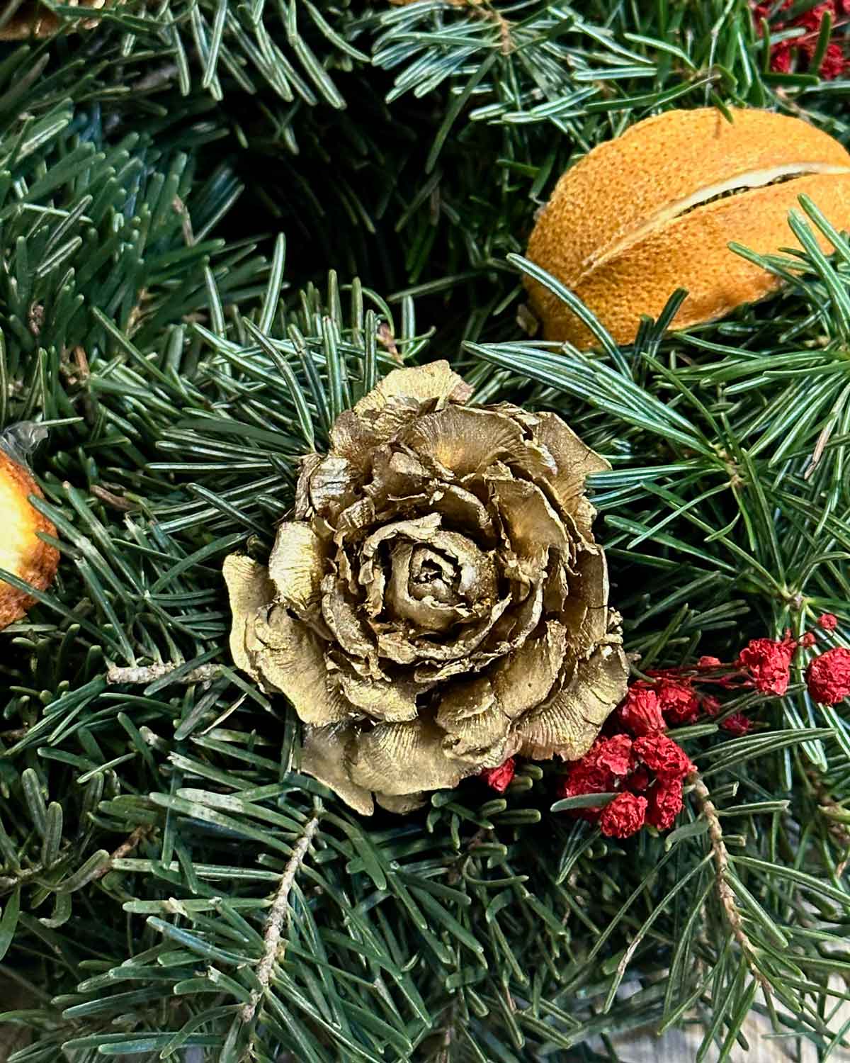 Corona - Estrella Dorada