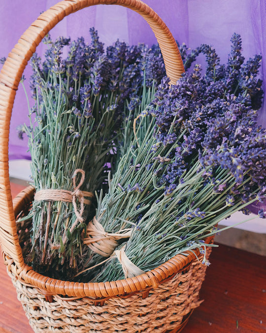 Ramo de lavanda seca