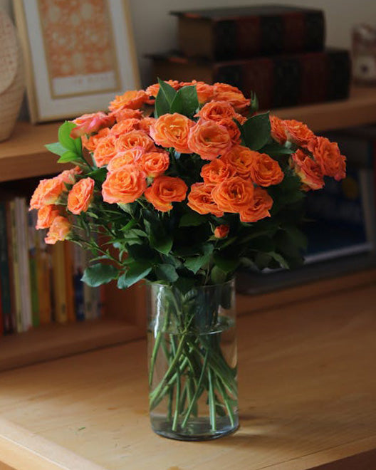 Rosas Pitimini
