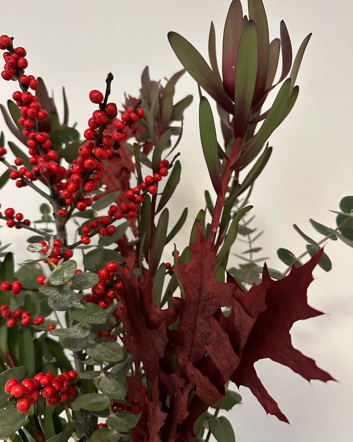 Ramo - Eterno Invierno