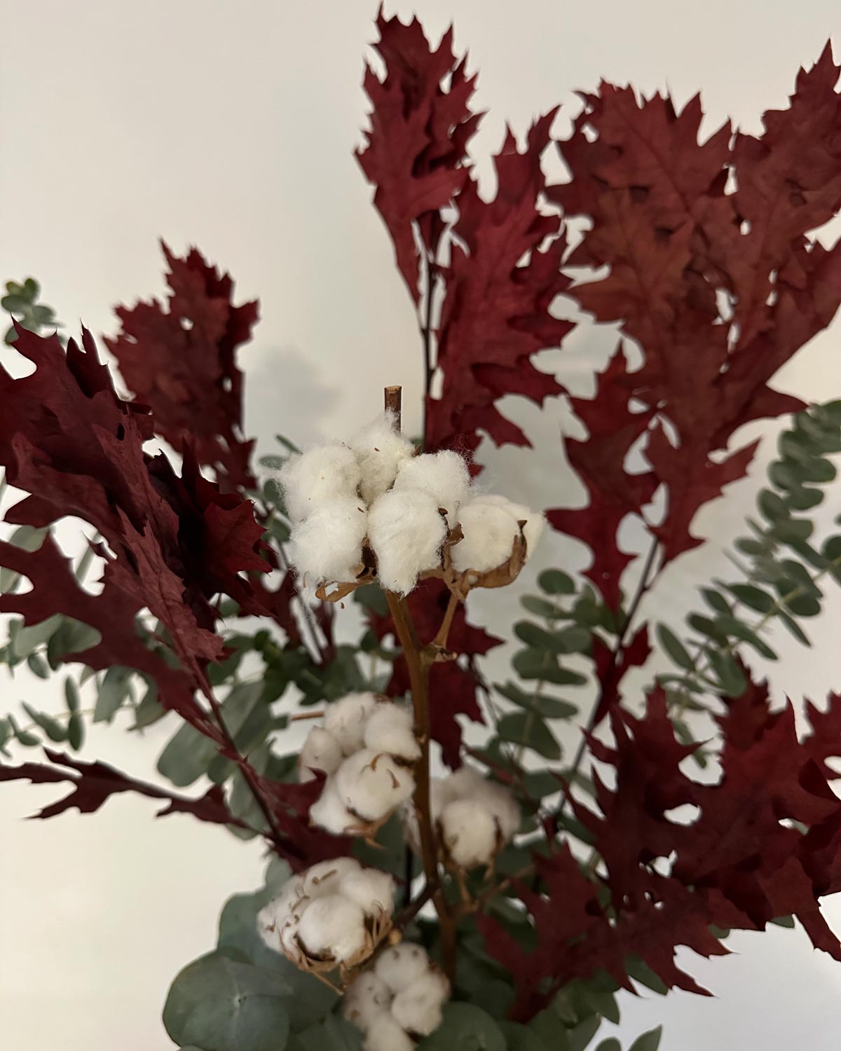 Ramo - Estrella Polar