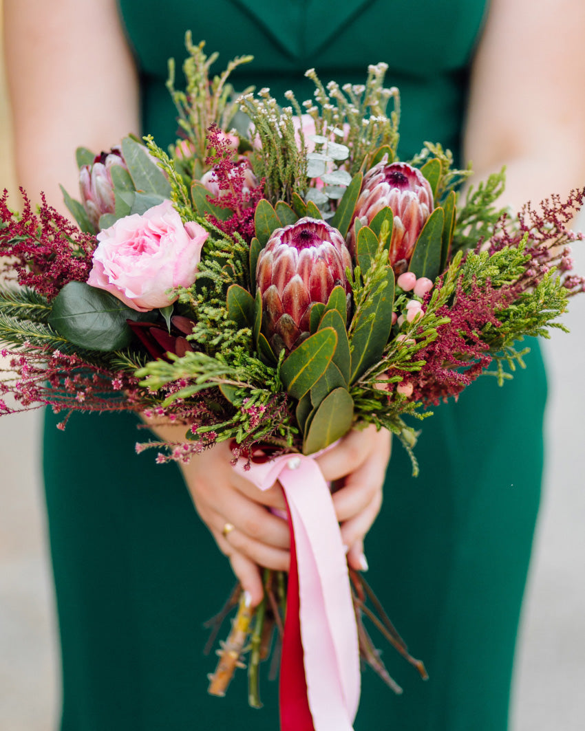 Protea silvestre