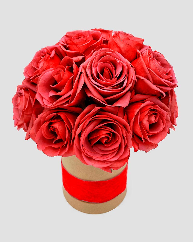 Kreis rosas